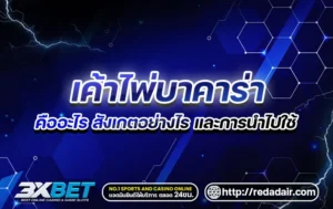 เค้าไพ่บาคาร่า